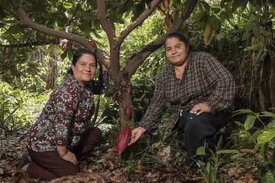 Nora Daysi Hernandez, de 56 años, visita la siembra de cacao de Rosario Elizabeth Ramos, de 48 años.
