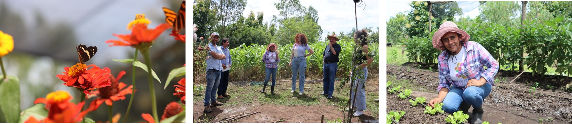 Huertos agroecológicos Melyt